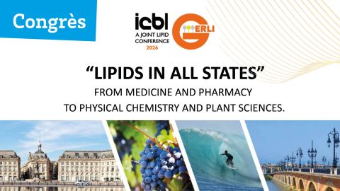 Texte alternatif de l'image