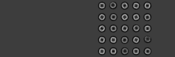 Un nouvel équipement qui met la biologie structurale à portée de tous !