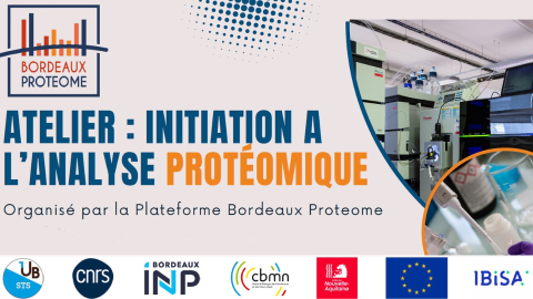 Texte alternatif de l'image