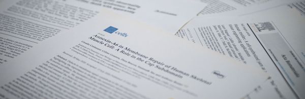 La recherche au sein de STS